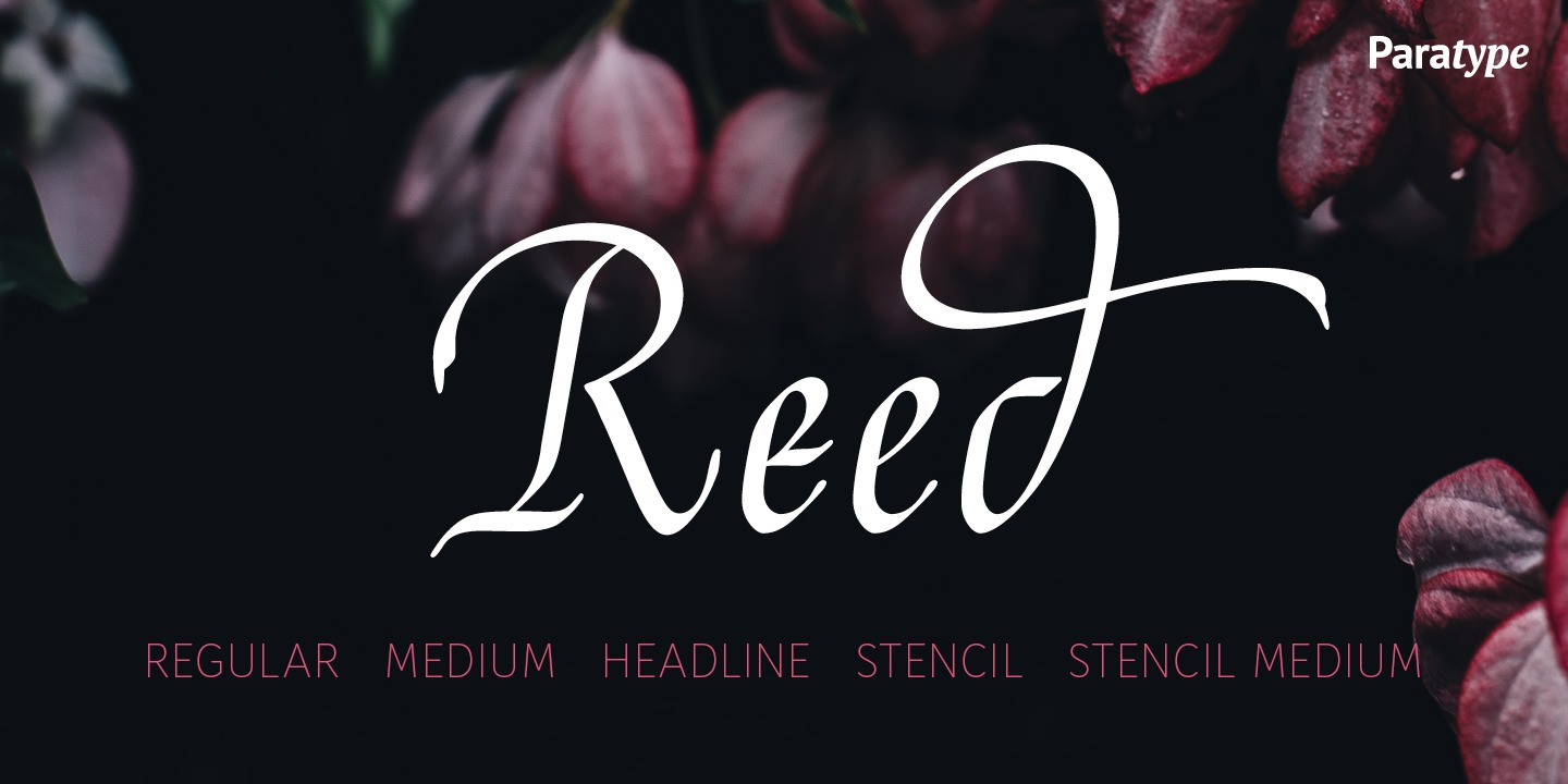 Reed Font preview